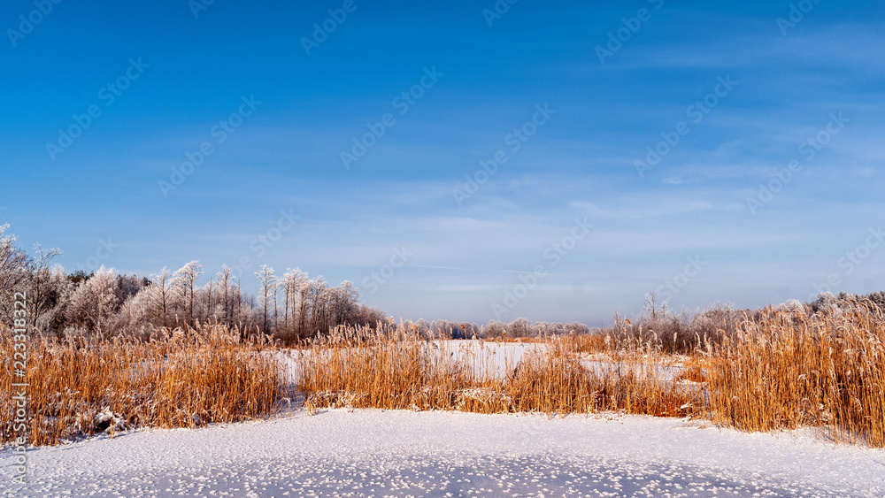 Biebrzański Park Narodowy zimą Biebrzański Park Narodowy zimą