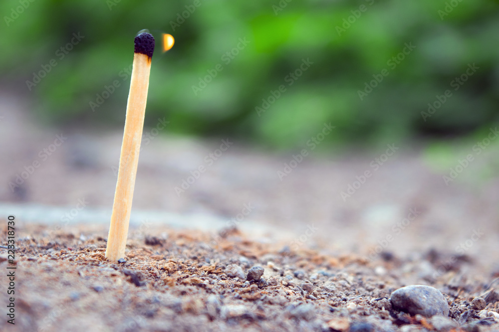 Matchstick fire in garden Matchstick fire in garden