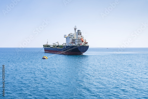 a sea cargo ship anchored near the shore, against a background of the sea horizon