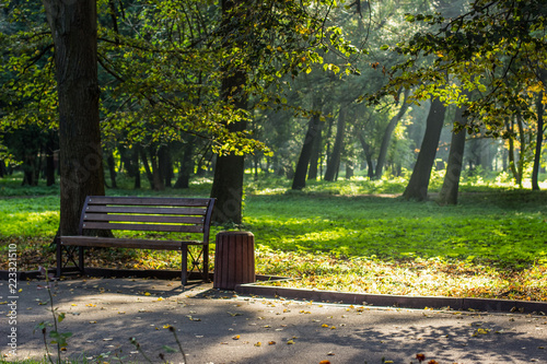 park outdoor concept place environment with asphalt concrete road for walking alley way wooden bench in autumn fresh seasonal weather and morning time with sun rays between tree branches  