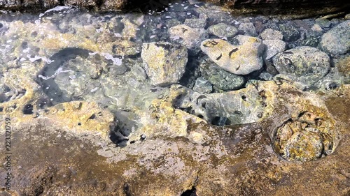 A clean and clear sea water puddle full of small fishes. HD cropped photo