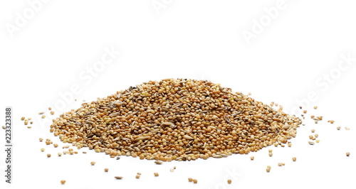 Mixed bird seeds  millet pile isolated on white background