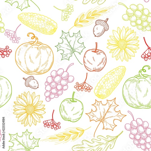 Fall season harvest doodles colorful seamless pattern, repeating background. Vector illustration. Can be used for thanksgiving holiday design.