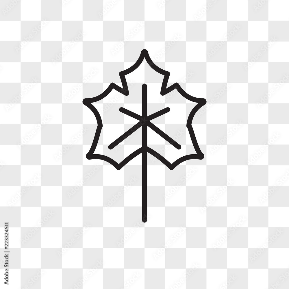 Maple leaf vector icon isolated on transparent background, Maple leaf logo design