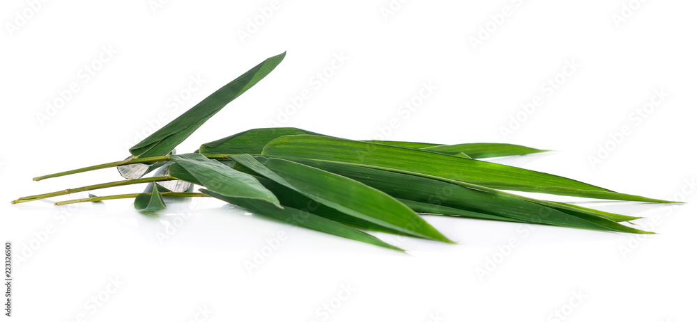 Leaf of Bamboo isolated on white background Leaf of Bamboo isolated on white background