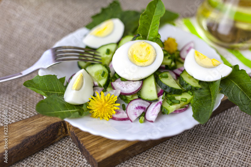 Salad of dandelions, Healthy spring salad of young leaves of dandelion, cucumber, radish and egg on a plate closeup