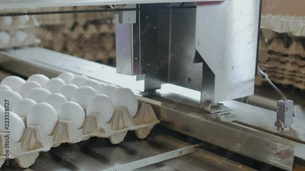 Automated device marks hen eggs in a small farmhouse Automated device marks hen eggs in a small farmhouse