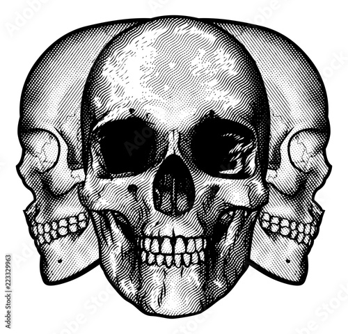 A graphic design featuring three human skulls 