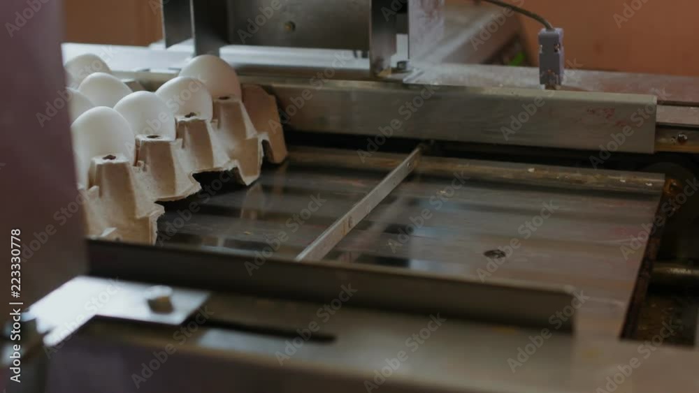 Automated device marks chicken eggs in a small farmhouse Automated device marks chicken eggs in a small farmhouse