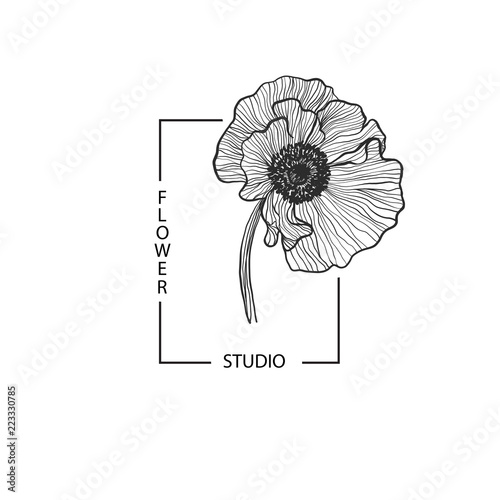 Rectangular frame with text Flower Studio and  poppy for your br
