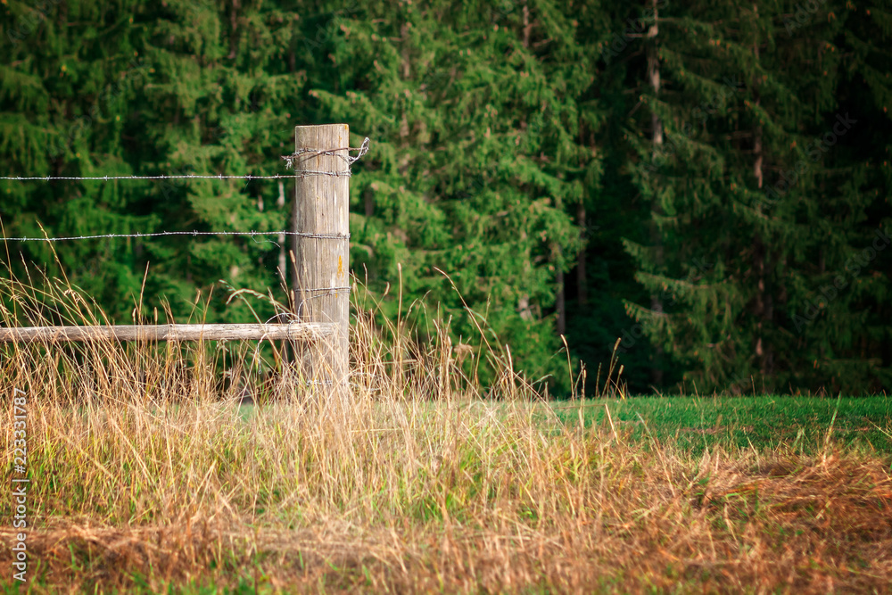 Zaun Element Weide Eingang in der Eifel vor einem Wald im Sommer bei Sonnenschein Zaun Element Weide Eingang in der Eifel vor einem Wald im Sommer bei Sonnenschein