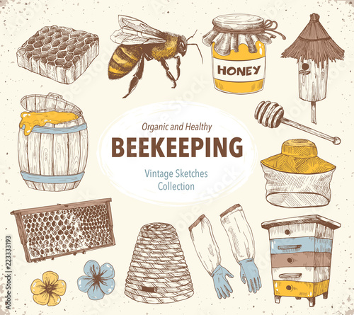 Hand drawn apiary objects. Beekeeping inventory in sketch style. Vector Illustration.