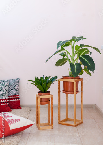 Vertical photo of simple, minimal, wooden shelf, board, construction frame for two green plant flowers stand against pasrel pink wall near soft pillow photo