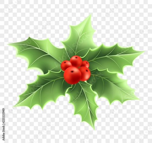 Christmas holly branch realistic illustration