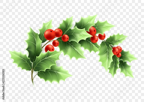 Christmas crescent holly branch illustration