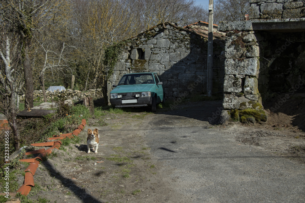 Rural scene with dog and blue car in front of stone house