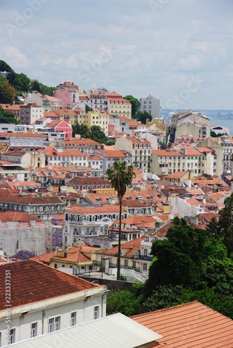 Panorama Lizbony z palmą #223337351
