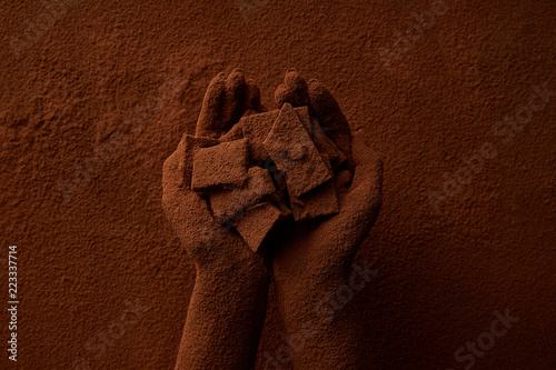 Canvas Print cropped shot of person holding chocolate pieces and cocoa powder