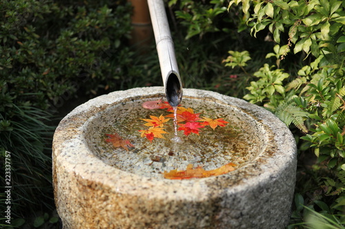 traditional japan water garden