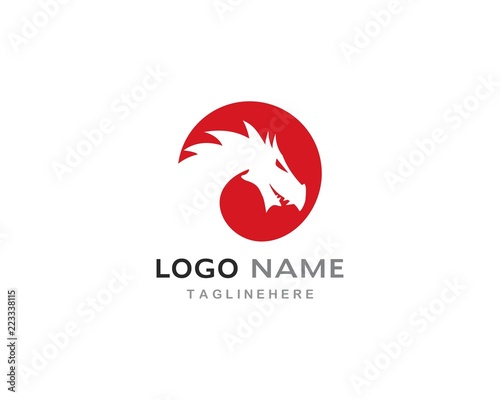 Head Dragon logo template