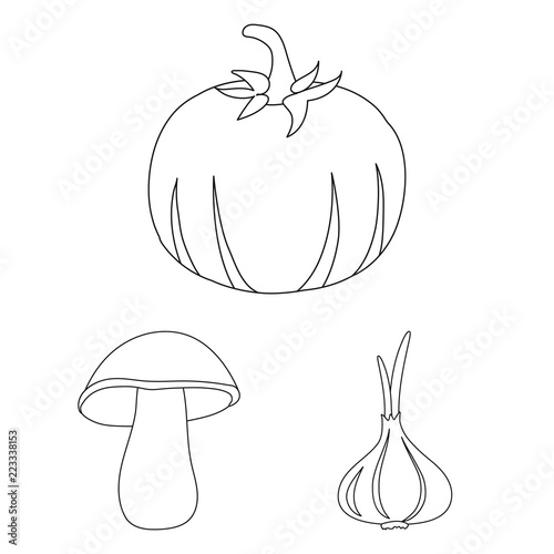 Different kinds of vegetables outline icons in set collection for design. Vegetables and vitamins vector symbol stock web illustration.