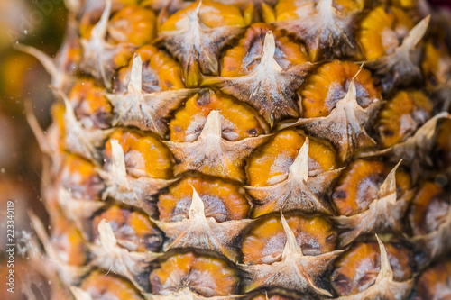 Close up sur un ananas