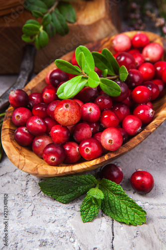 Harvest fresh red cranberries in wooden bowl, selective focus. Autumn concept