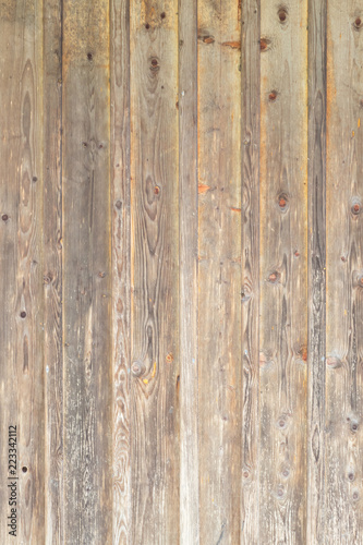 Background texture of wood, natural pattern