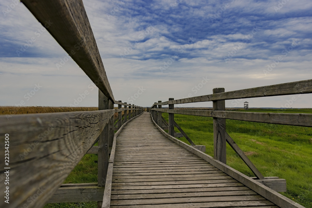 wooden road leading to the tower