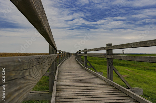 wooden road leading to the tower