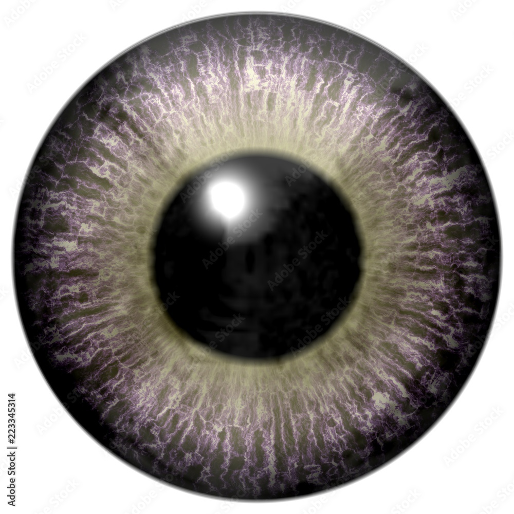 Interesting gray eyeball with light green round and black pupil, on white background, beuatiful eye Interesting gray eyeball with light green round and black pupil, on white background, beuatiful eye