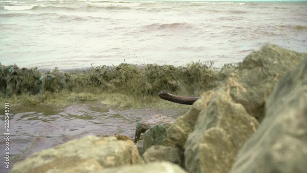 Muddy brown water splashes against rocks and a fallen log