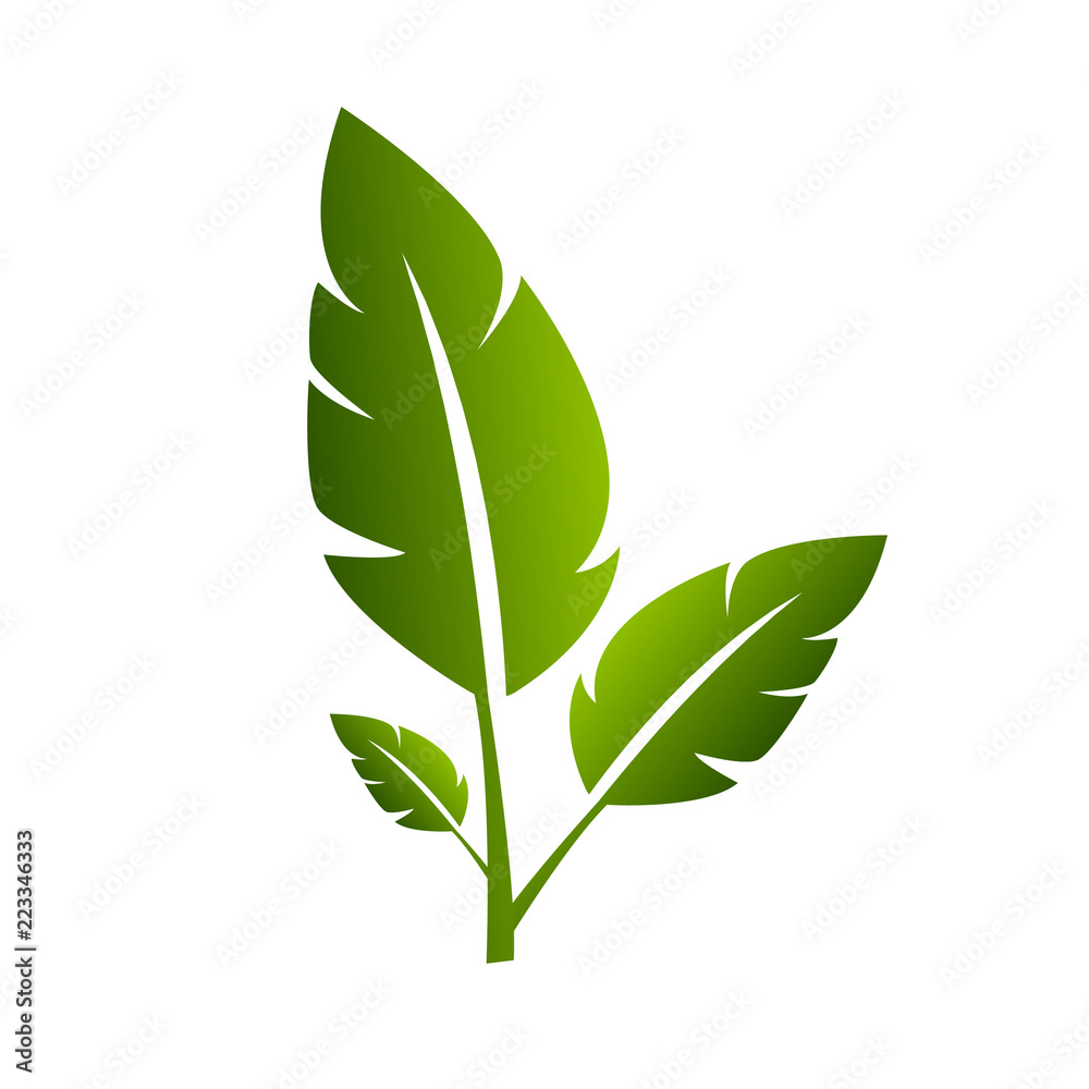 Leaf nature Design Leaf nature Design