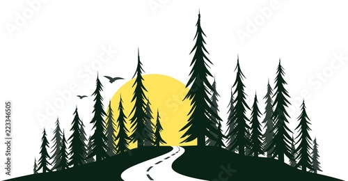 Green forest with the road.