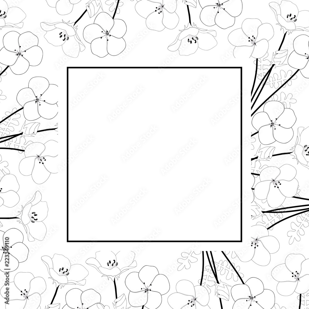 Nemophila Baby Blue Eyes Flower Banner Card Outline Nemophila Baby Blue Eyes Flower Banner Card Outline