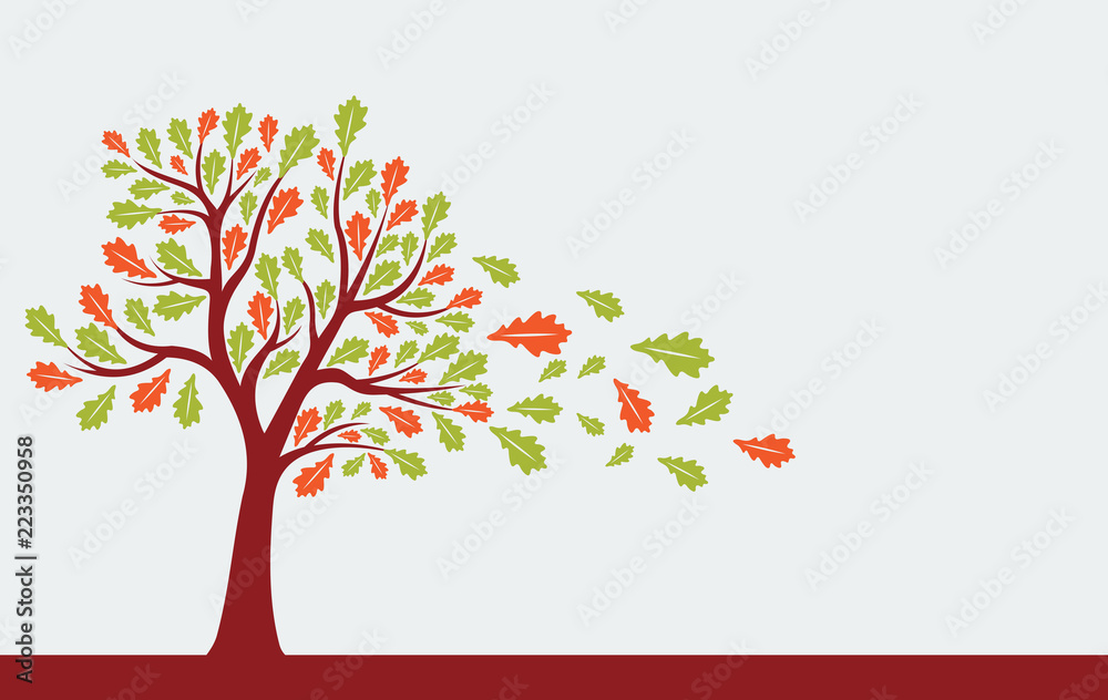 autumn tree isolated vector illustration