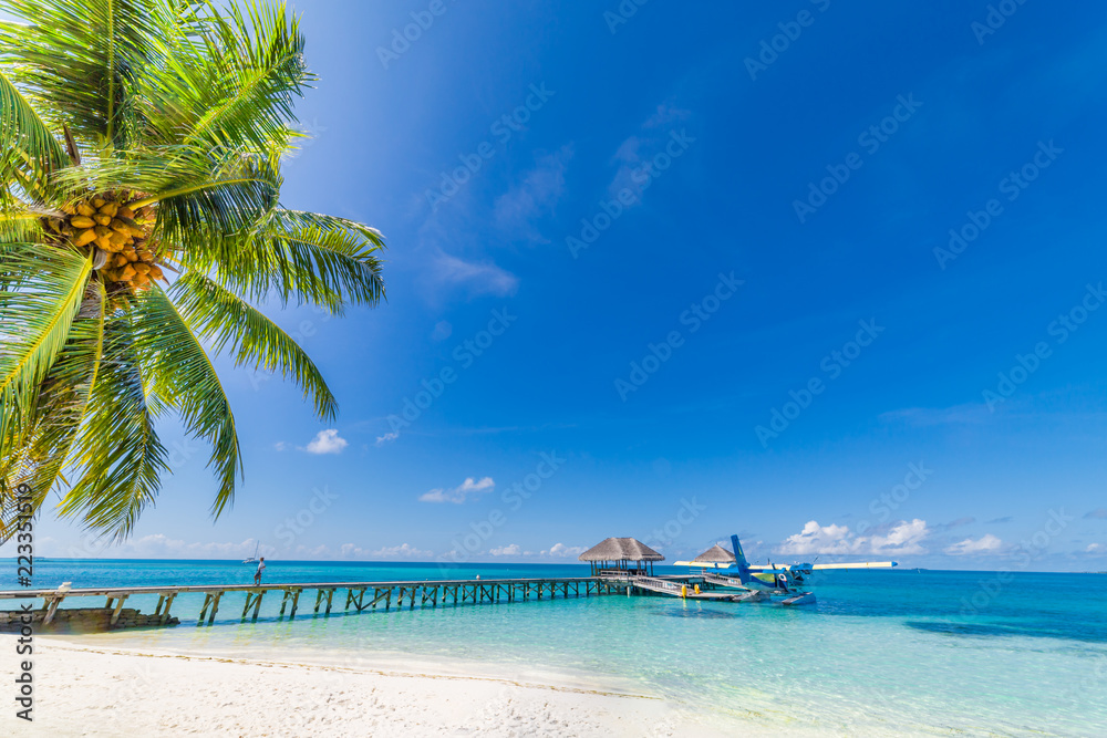 Tropical island. Seaplane and wooden jetty in blue sea
