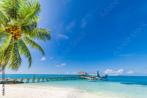 Tropical island. Seaplane and wooden jetty in blue sea