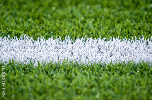 Green grass soccer field close-up background.