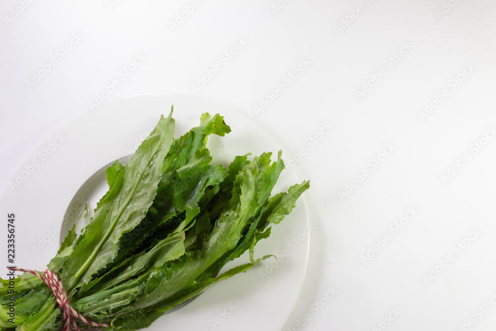 Green bunch of culantro leaves in a white bowl tied with twine, copy space, isolated on white, horizontal aspect