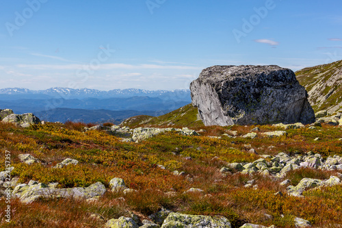 Gorgeous stone lays on the sunlit mountain slope among the moss, grass and stones with mountain landscape on the background, Telemark region, Norway photo