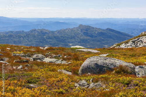 Stony mountain slope covered with moss and small yellow flowers with picturesque mountain landscape on the background, Telemark region, Norway photo