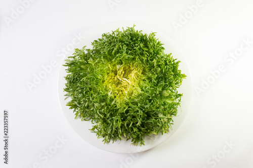 White bowl with head of frisee lettuce, overhead view, isolated on white, horizontal aspect
