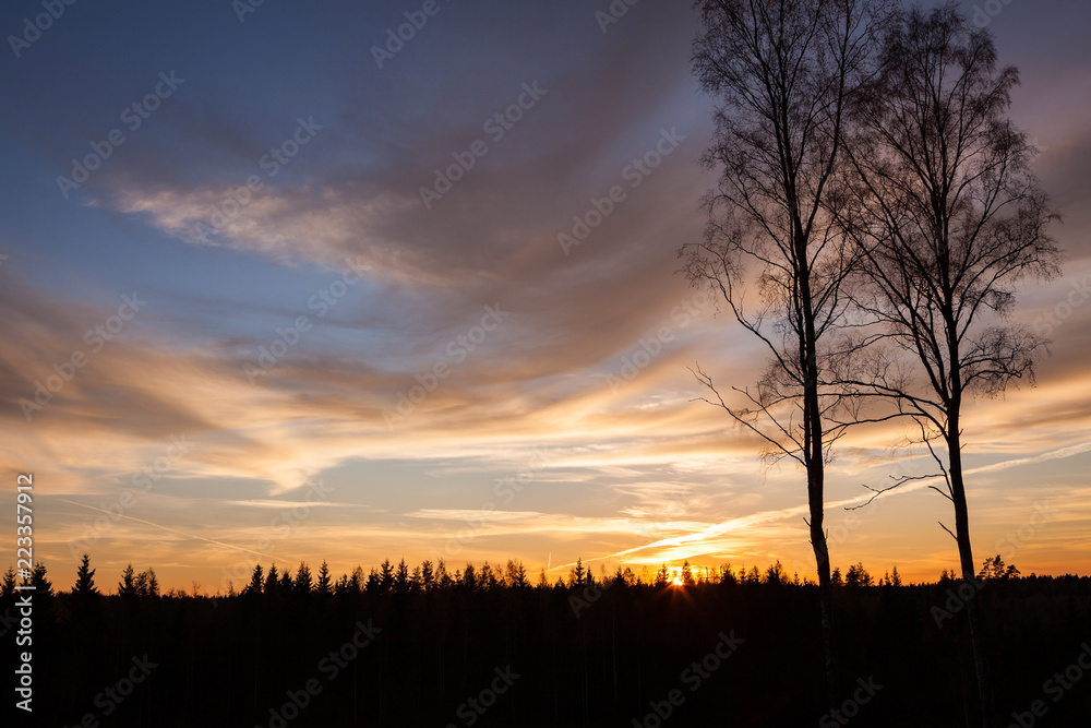 Trees and sunset clouds in Finland