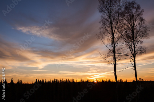 Trees and sunset clouds in Finland