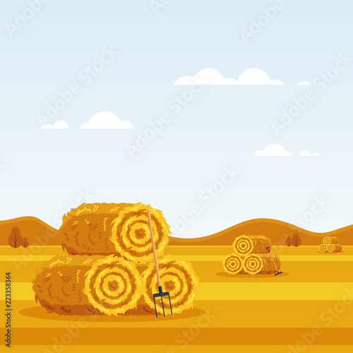 Fototapeta Rural landscape with haystacks, forks on fields