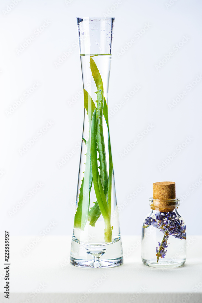 transparent bottle and vase of natural herbal essential oils on white surface