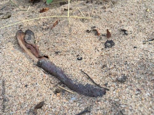 Sand