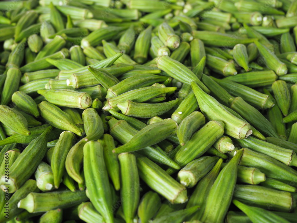 Okra Okra