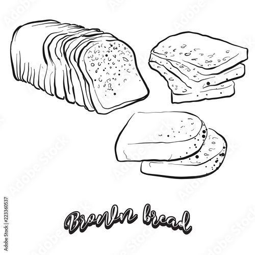 Hand drawn sketch of Brown bread bread photo